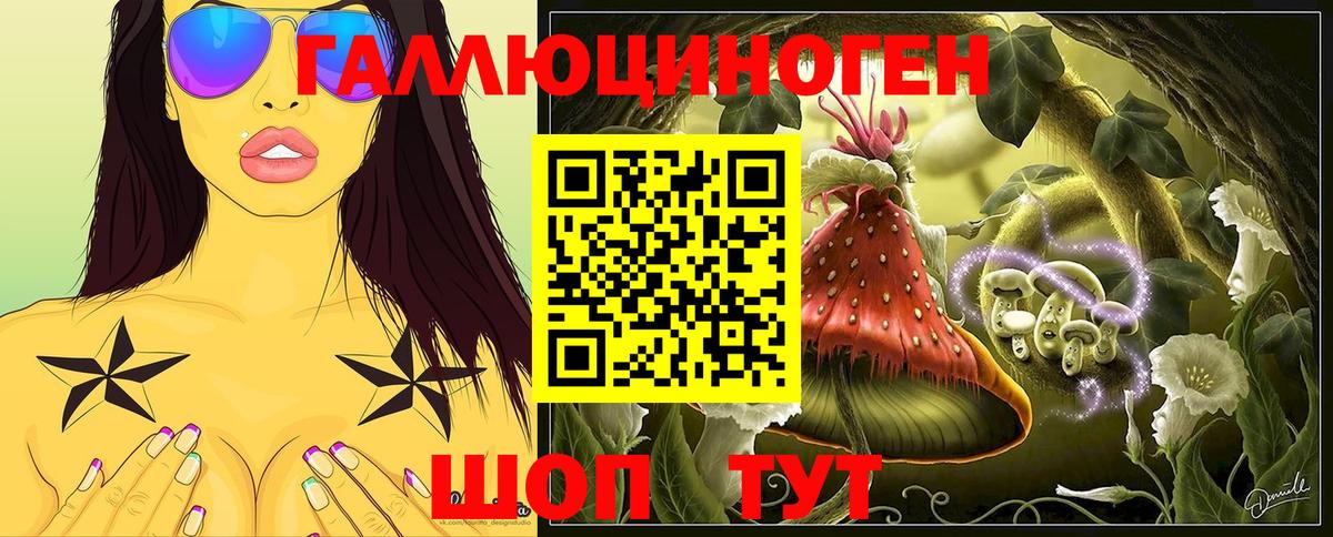 Вольск  Галлюциногенные грибы Psilocybe  Псилоцибиновые грибы MAGIC MUSHROOMS  Вход с VPN 