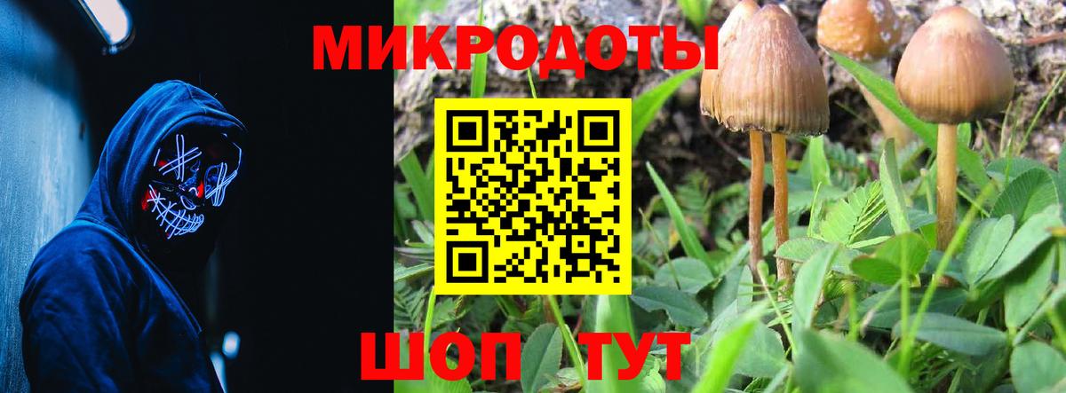 Галлюциногенные грибы MAGIC MUSHROOMS Вольск